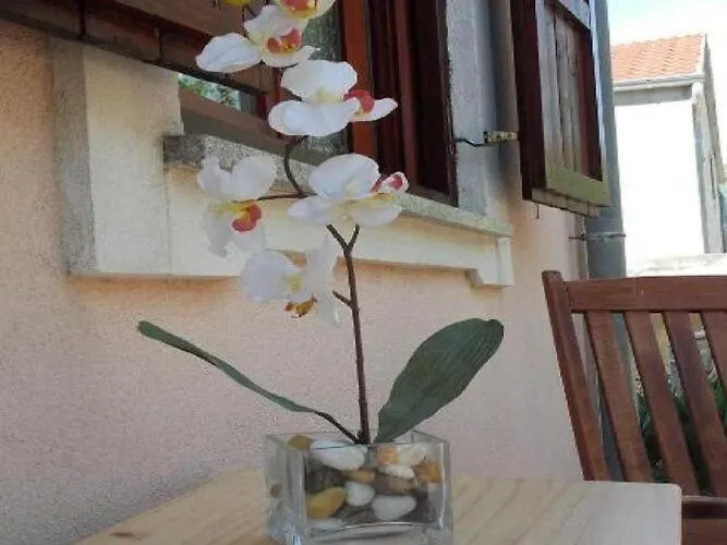 Appartamento Smilje I Maslina - One Bedroom With Terrace 2 Gornji Karin