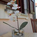 Apartman Smilje I Maslina - One Bedroom With Terrace 2 Gornji Karin