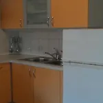 Smilje I Maslina - One Bedroom With Terrace 2