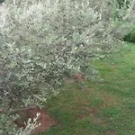 Smilje I Maslina - One Bedroom With Terrace 2 Apartman *
