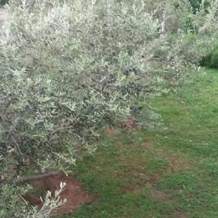 Smilje I Maslina - One Bedroom With Terrace 2 Apartamento *